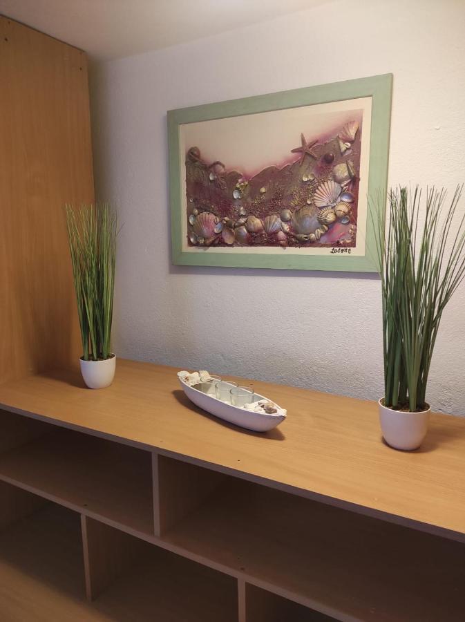 Studio Apartment Petrov 시베니크 외부 사진